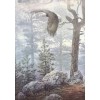 Daniel Smith "Shrouded Forest" "FRAMED ART Wildlife Eagle Soaring USA