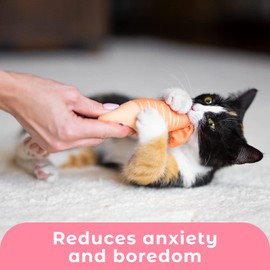 GoodGirl Catnip Filled Long-Lasting Cat Toys 5 Piece Set (Fish)