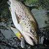LMAB Flash Vibe 67, 80 & 98 mm - Twitchbait