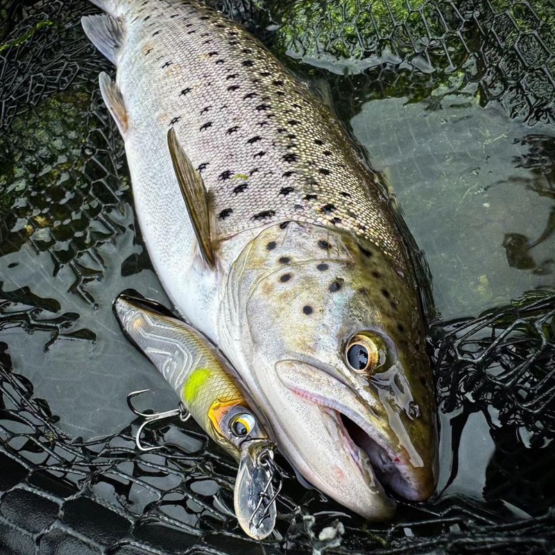 LMAB Flash Vibe 67, 80 & 98 mm - Twitchbait