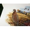 Don Balke BOBWHITE QUAIL (Masterpiece-1