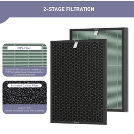 Ontheone Air Bio-GS 2.0 Filter Replacement Kit Compatible with Rab-bit Air Bio-GS 2.0 Ultra Quiet Air Cleaner Purifier Model SPA-550A and SPA-625A, includes Carbon and HEPA Filter, 2 Set