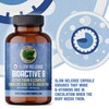 Pure Lab Vitamin | Slow Release Bioactive B Complex |