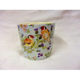 British birds blue small sugar Bowl