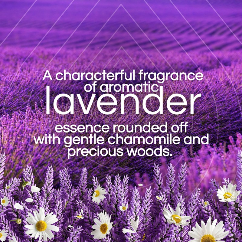 Air Wick Plug in Scented Oil Refill, 7 ct, Lavender