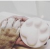 Skinny & CO. Rescue Skinny Paw Pet Shampoo-Made with Coconut