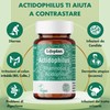 Lifeplan Acidophilus and Rhamnosus Vegicap 50 Capsules