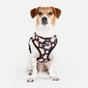 Puppia Bacopas Dog Harness A (Over-The-Head) Fashionable Flower Pattern Spring