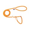 Profti Retriever Lead made from Nylon, Leather Elements, Pull Stop,
