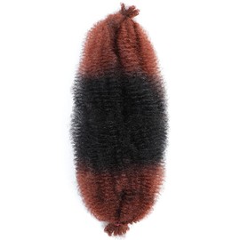 Afro Twist Hair Springy Afro Twist Hair Crochet Braiding Hair (24 Inch (Pack of 3), 1b/350) …