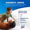 Lysol Disinfectant Spray, Sanitizing and Antibacterial Spray, For Disinfecting and