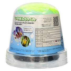 Kamihata Iso Gincha-kun, Yellow, Medium Size