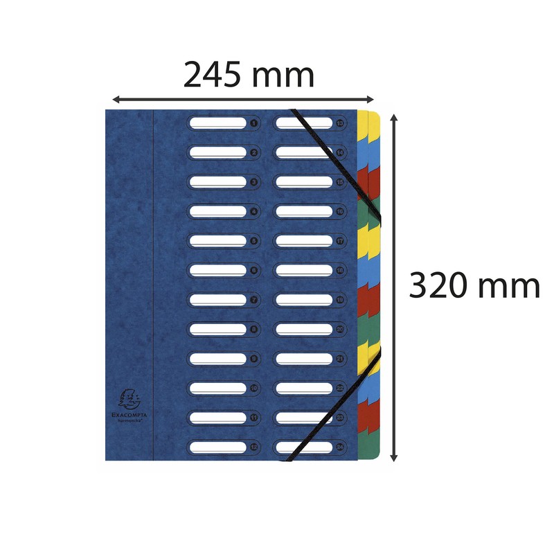 Exacompta 5324E Premium Folder Harmonica Made of Extra Strong Colorspan