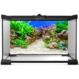 Aquarium Background Underwater Grass Leaves with Pebble Aquarium Backdrop Vivid and Fresh Green Aquatic Plant Stone River Bed and Lake Fish Tank Background Decor Vinyl 36x24in