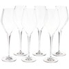 Schott Zwiesel Tritan Crystal Glass Finesse Stemware Collection Champagne Flute