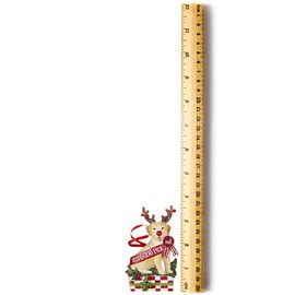 RAZ Imports 2021 Best in Show Dog Ornaments, 3.75 Inches, Pack of 4