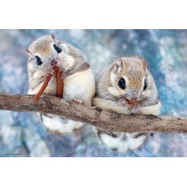 Beverly 300-102 Jigsaw Puzzle, Mogimogu Ezomomonga (10.2 x 15.0 inches (26 x 38 cm), Made in Japan, 300-102