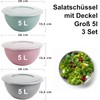 Pastel Bowl with Lid 5 L, Set of 4, Salad