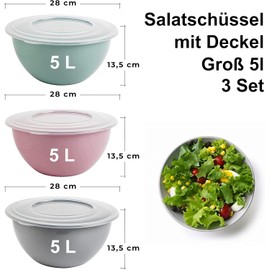 Pastel Bowl with Lid 5 L, Set of 4, Salad Bowl with Lid, Mixing Bowl, Plastic (PP) BPA-Free, Colour: Light Grey, Pastel Pink, Green and Transparent, Transparent Lid, Diameter 28 cm