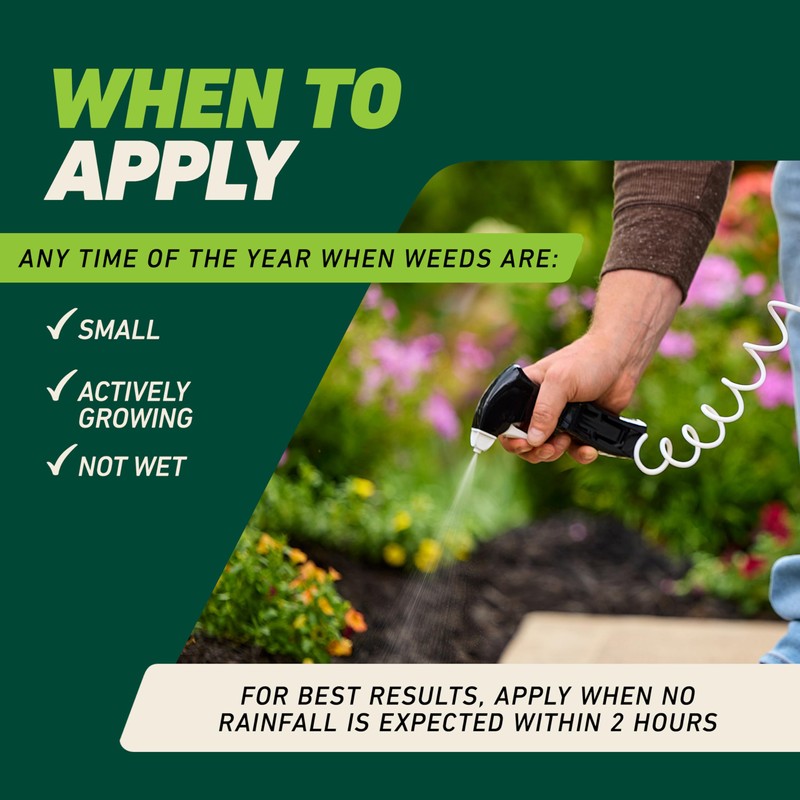 Ortho GroundClear Weed and Grass Killer with Comfort Wand, Kills