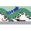 vileda Schwamm PUR Active blau 123118 123114 6,3x14 cm 10