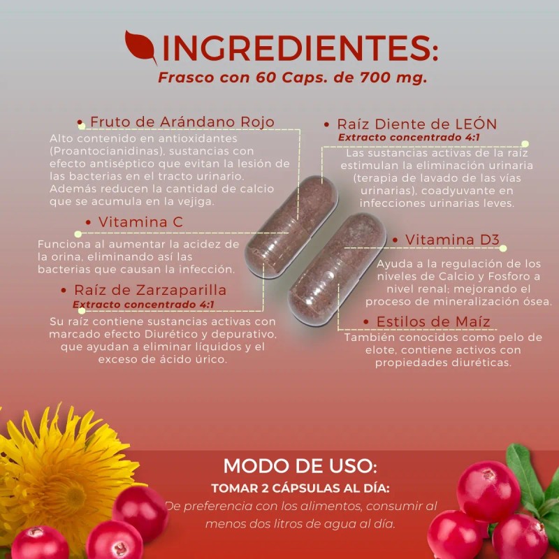 Extracto Arándano +suplementos Sistema Urinario 60caps700mg