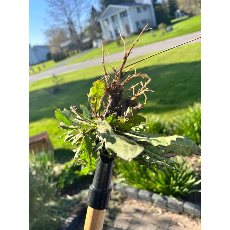 Edward Tools PullPro Long Handle Weed Puller Tool - 48"