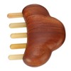 Meridian Massage Tool Kit Wood 3pcs Meridian Comb 2pcs Nose