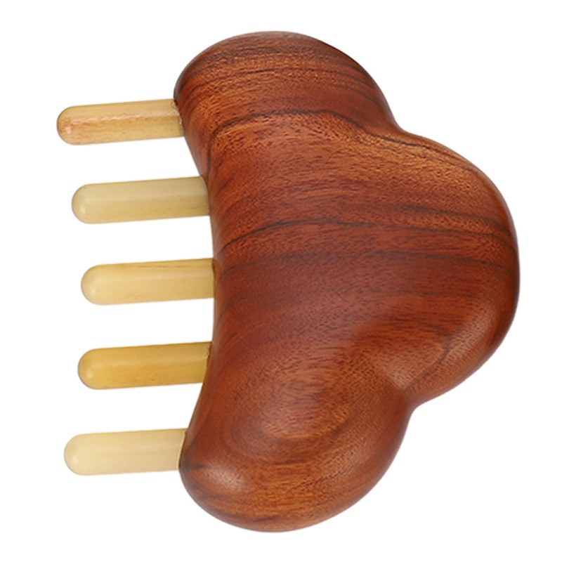 Meridian Massage Tool Kit Wood 3pcs Meridian Comb 2pcs Nose