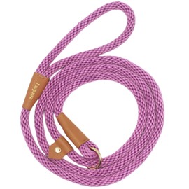 Soft Paracord Rope Slip Lead Dog Leash for Large Dogs, Easy to Use Dog Lead Collar Combo