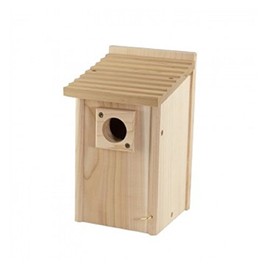 Audubon Blubrd House Red Cedar