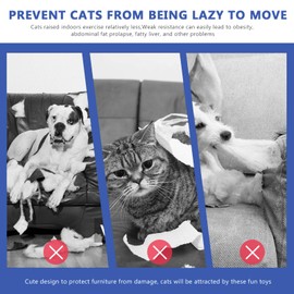 S SUNSBELL Cat Toys for Indoor,Turbo Tail Cat 3.0 Remote Control Mouse Cat Toy, Smart Interactive Cat Toy with Remote Control and 2-Speed Adjustment (Blue)