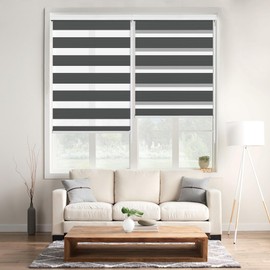 Allbright Zebra Window Blinds for Home 20"W × 64"H Black , Dual Layer Roller Shade, Room Darkening Shade Roll Up and Pull Down Blinds, Light Filtering Window Shades for Day and Night, Easy to Install