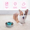 Slow Feeder Dog Bowls Insert, Bestalk Soft Silicone Slow Eating