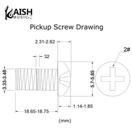 KAISH 20-Pack Stainless Steel American #6-32 Single Coil Pickup Screws with Springs for Stratocaster/Telecaster Nickel