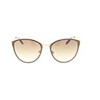 HIS HS155-005 Sunglasses Brown