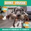 Pet Factory Shake & Squeak Critter Tugz Plush Dog Toy,