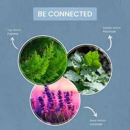 Carolina Be Connected Scented Candle, 16 oz Cypress & Patchouli Scented, 2 Wick Wellness Relaxing Candle, 60H Burn Time, Ideal for Creating a Welcoming Home - Made in The USA