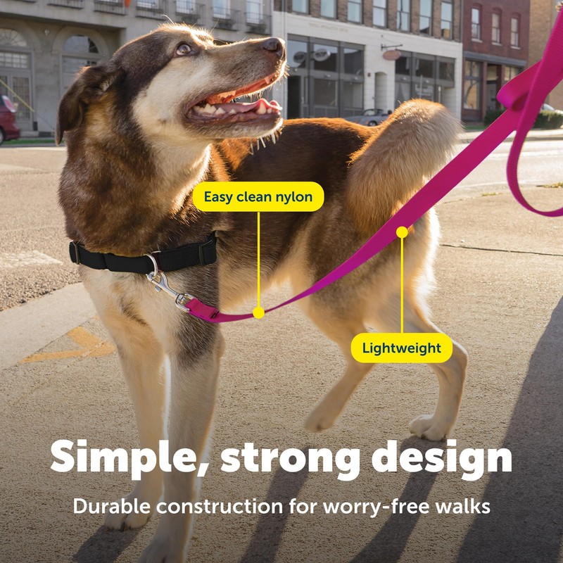 PetSafe Nylon Leash - Strong Nylon for Everyday Walks -