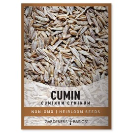 Gardeners Basics, Cumin Seeds for Planting is A Heirloom, Non-GMO Herb Variety- Cuminum Cyminum Herb Seeds Great for Indoor and Outdoor Gardening