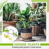 Feekoon 40 Pack Universal LST Plant Training Clips Reusable Low