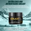 Shilajit Original Himalaya Bio, Shilajit Harz mit 85+ Spurenelementen &