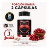 Suplemento Arándanos Rojos Armor For Health 100 Cápsulas 500mg
