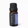 Gita [웰빙창고] 레노포프 100 퓨어 에센셜오일 라벤더 10ml x 2개 [Wellbeing Warehouse] Lenopoph 100 Pure Essential Oil Lavender 10ml x 2 pcs