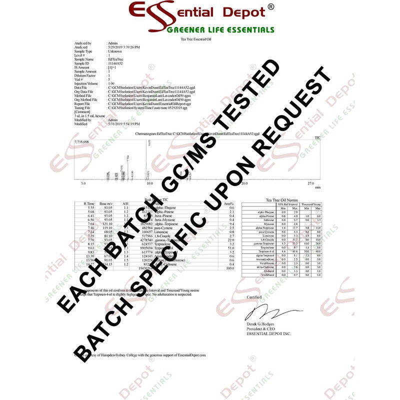 Essential Depot Fir Needle Essential Oil - GC/MS Tested -