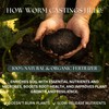 Worm Castings - Natural Fertilizer and Soil Amendment from Mindful