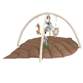 Littlez Baby Play Gym & Activity for Visual, Hearing, Sensory, Motor Development, Leaf Shaped Baby Play Mat w 6 Detachable Toys, Tummy Time Mat Baby Essentials Shower Gift