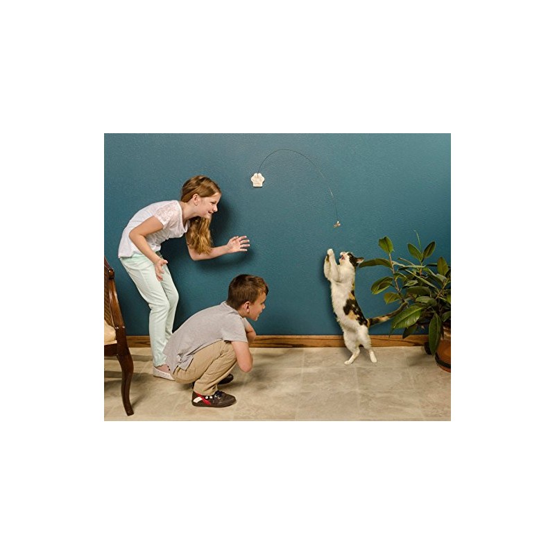 CAT DANCER Deluxe 252 Cat Toy, Medium Breeds