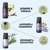 Folkulture Sleep Essential Oil Set for Diffusers | Aromatherapy Essential