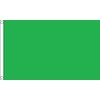 Plain Green Flag - 5 x 3 FT - 100%